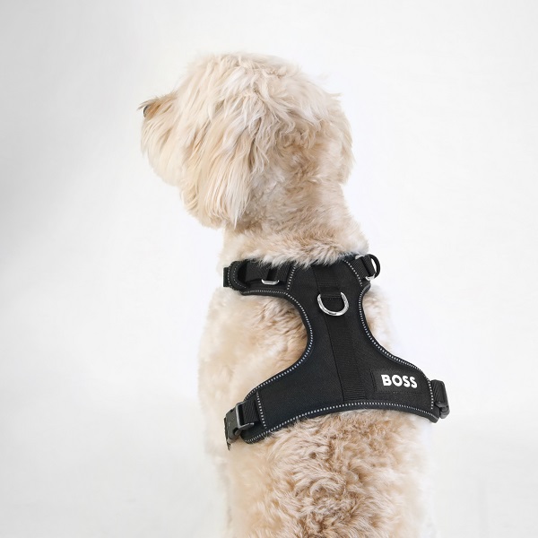 【先行予約販売】BOSS（ボス）ハーネス / Dog Essentials Harness