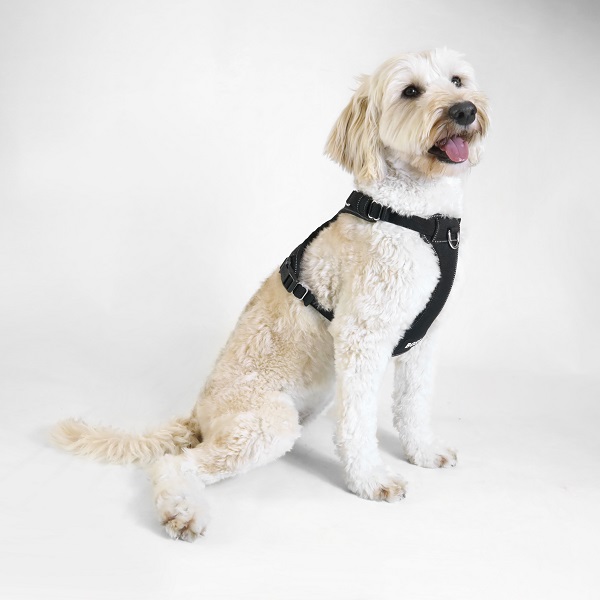 【先行予約販売】BOSS（ボス）ハーネス / Dog Essentials Harness