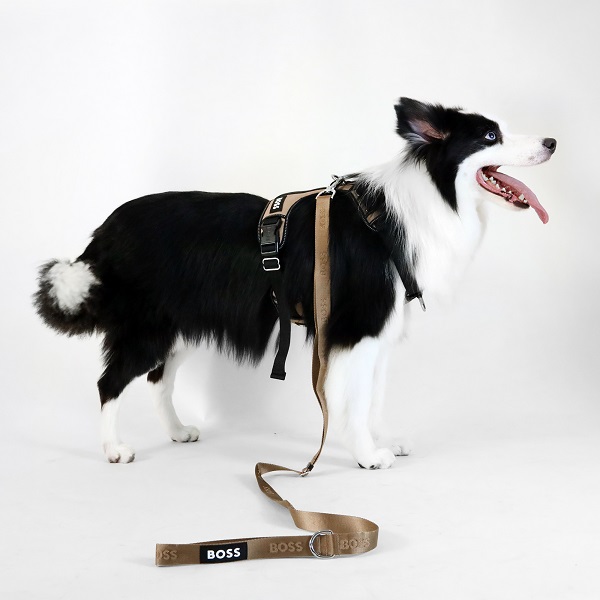 【先行予約販売】BOSS（ボス）リード / Dog Essentials Leash