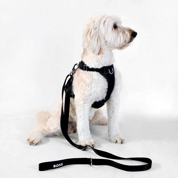 【先行予約販売】BOSS（ボス）リード / Dog Essentials Leash