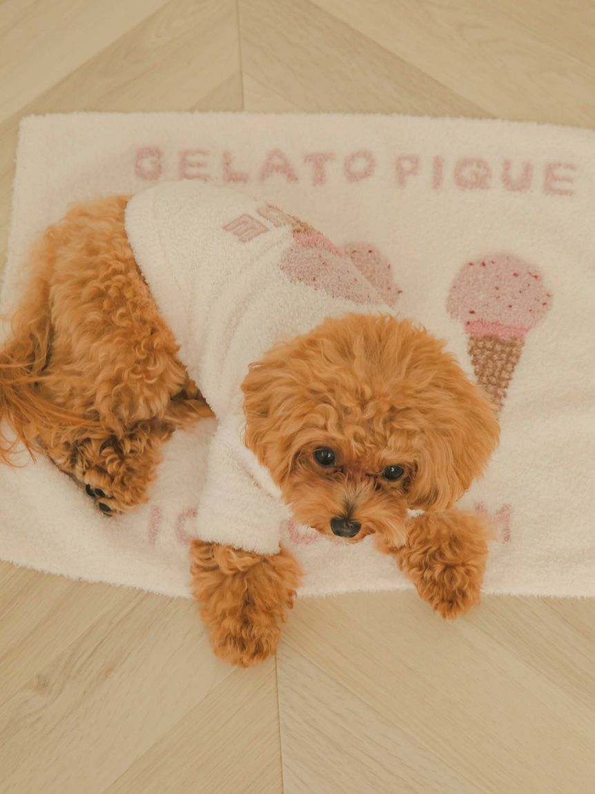 gelato pique（ジェラートピケ）【CAT&DOG】【販路限定商品