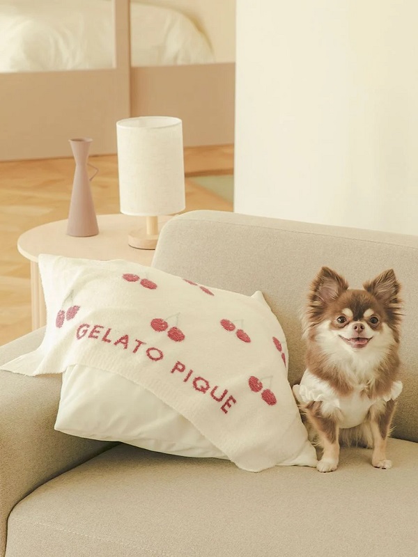 gelato pique（ジェラートピケ）【CAT&DOG】【販路限定商品】スムーズィーチェリー柄ブランケット