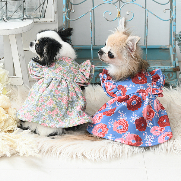 2024新商品 LAURA ASHLEY（ローラアシュレイ）裏起毛ダブルフリルワンピース | 犬服・ドックウェアCalulu(カルル)