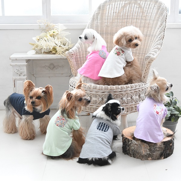 LAURA ASHLEY（ローラアシュレイ）ドッグシャツ｜全6色 | 犬服・ドック