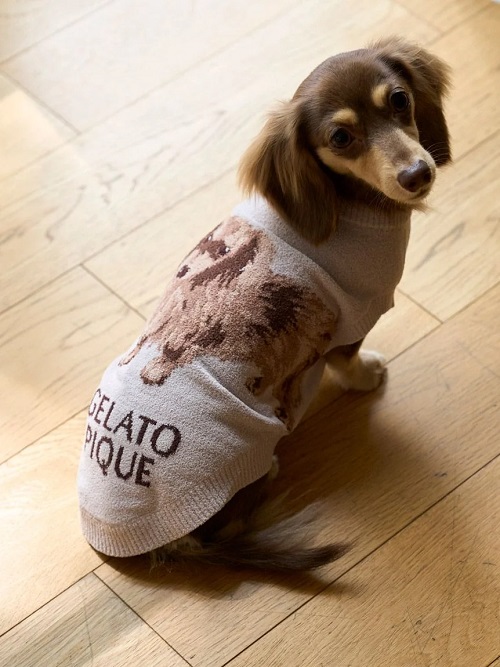 gelato pique（ジェラートピケ）【CAT&DOG】【販路限定商品】ダックスフンドジャガードノースリーブプルオーバー｜全2色