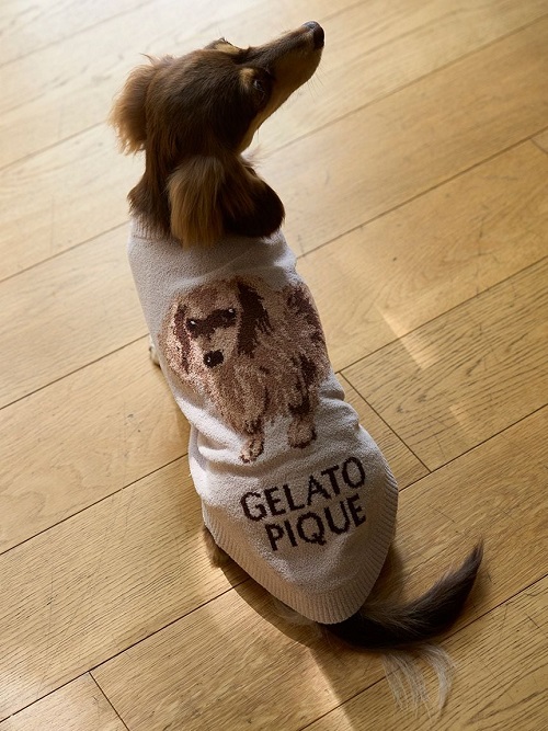 gelato pique（ジェラートピケ）【CAT&DOG】【販路限定商品】ダックスフンドジャガードノースリーブプルオーバー｜全2色