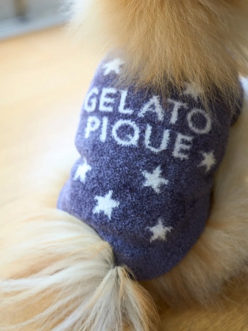 gelato pique（ジェラートピケ）【CAT&DOG】【販路限定商品】スター柄ノースリーブプルオーバー｜全3色