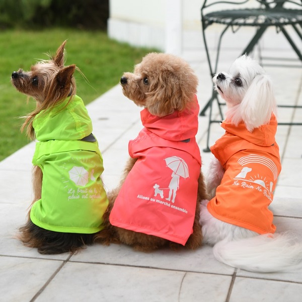 犬服の選び方 愛犬に服を着せるメリットは 暑さや寒さ対策 防虫 ケガ予防 マナーとしてもおすすめ